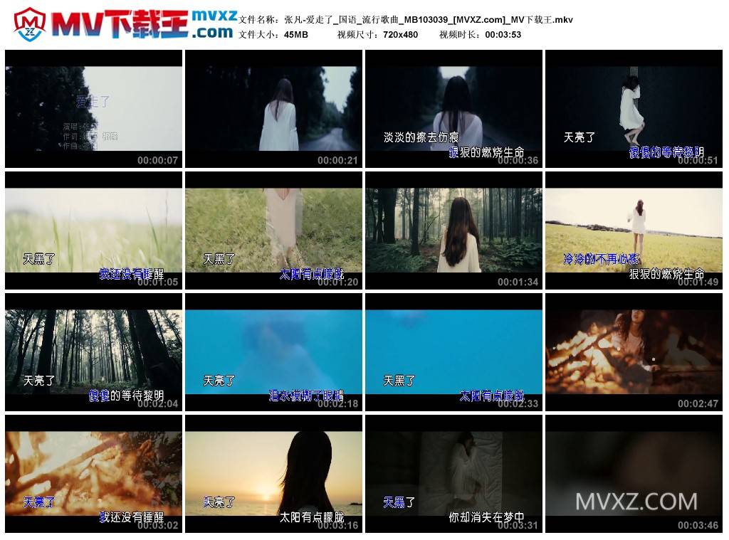 张凡-爱走了_国语_流行歌曲_MB103039